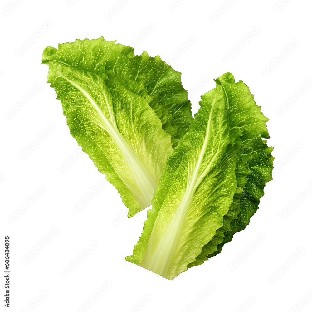 Wall mural lettuce isolated