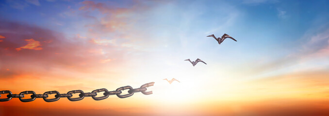 Silhouettes of broken chain and birds flying in sunset sky background