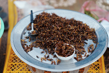 Local insect food of Lao PDR