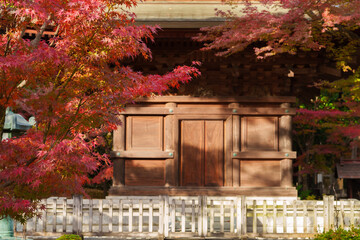 日本の寺 Japanese Temples 紅葉　leaves changing color