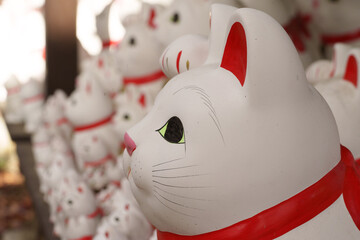 招き猫 japanese cat 