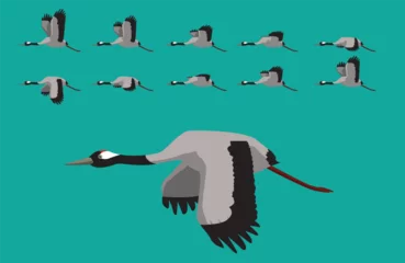 Fotobehang Animal Animation Sequence Common Crane Flying Cartoon Vector © bullet_chained