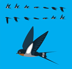 Bird Barn Swallow Flying Animation Straight Sequence Cartoon Vector - obrazy, fototapety, plakaty