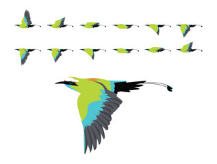 Bird Animation Motmot Turquoise Browed Flying Cute Cartoon Vector Illustration