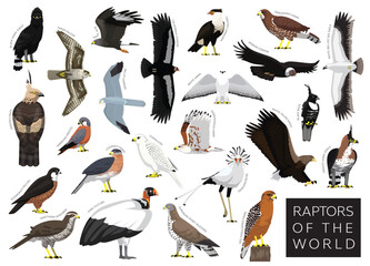 Birds Raptors of the World Hawk Eagle Vulture Buzzard Harrier Falcon Set Cartoon Vector Character - obrazy, fototapety, plakaty