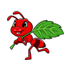 Cute ant cartoon on white background