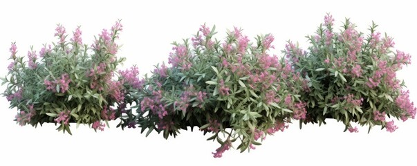Clipart bushes flower isolate backgrounds 3d rendering, Generative AI 