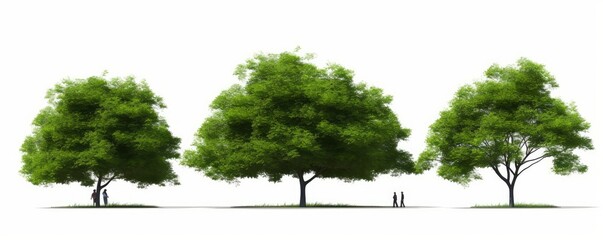 Nature green big tree cut out standing on grass white background 3d rendering, Generative AI 