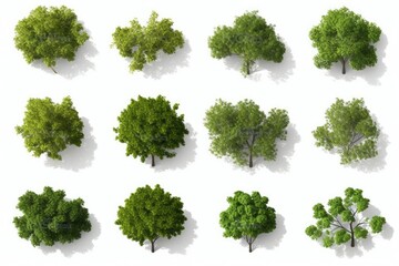 Cutout top view trees set landscaping 3d render, Generative AI  - obrazy, fototapety, plakaty