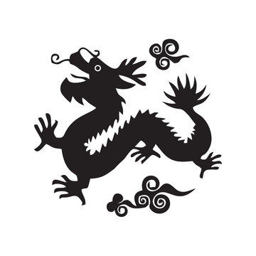 Black and white dragon concept
