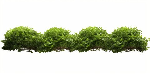 Green shrubs gardening row landscape cutout 3d rendering, Generative AI  - obrazy, fototapety, plakaty