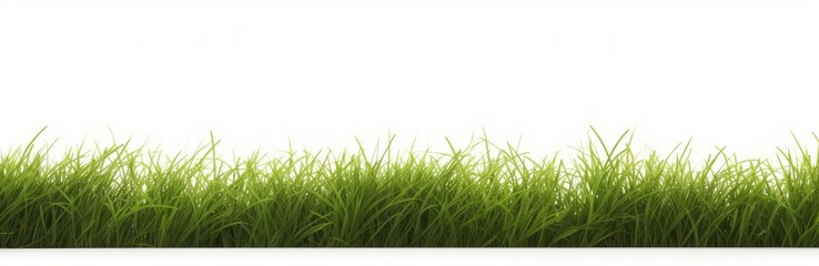 Fototapeta premium Meadow green grass row horizontal cut backgrounds 3d rendering, Generative AI 