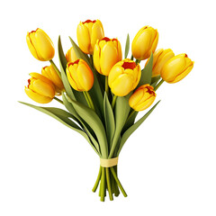 Bunch of yellow tulips isolated on transparent background