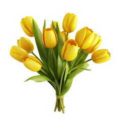 Obraz premium Bunch of yellow tulips isolated on transparent background