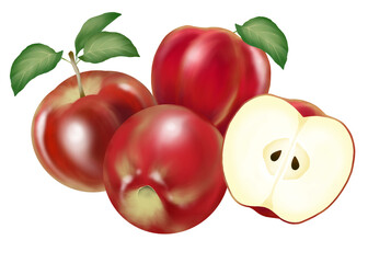 Set of red apples with leaves