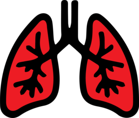 a self-made illustration
