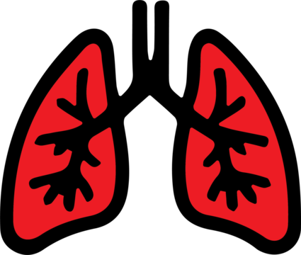 a self-made illustration
