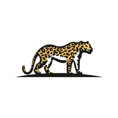 cheetah leopard animal  illustration vector