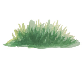 grass watercolor hand drawn icon. elements for environment, garden,botanical 