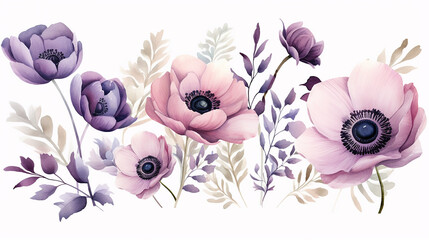 marvelous violet purple and burgundy anemone dusty mauve and lilac rose on white background - obrazy, fototapety, plakaty