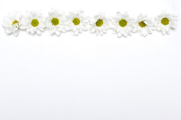 Spring frame of small flowers and daisy, floral arrangement.