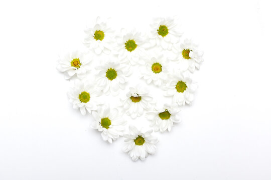 Double border of white daisy flower paper decorations. Top view over a rustic white wood banner background. Copy space