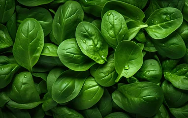 Foto op Plexiglas Fresh green baby spinach leaves natural background © Stormstudio
