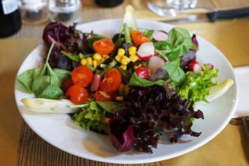 Close up mixed salad bowl- tomatoes, green oak, curly endive, black olive, carrot, celery, onion and lettuce 