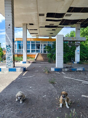 Old run-down gas station with gas pumps as a lost place in Wallachia in Romania