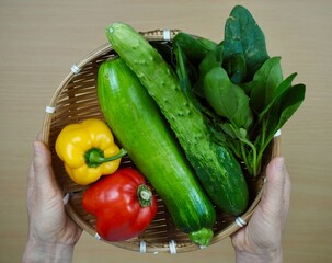 신선한 유기농 채소들, 파프리카, 애호박, 시금치, 오이