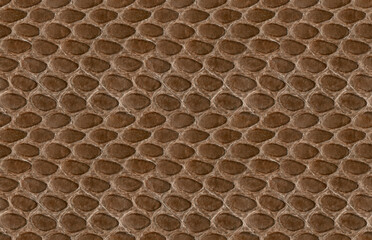 Seamless Snakeskin Brown Leather Texture