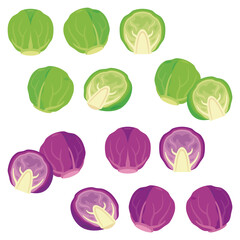 芽キャベツと紫芽キャベツセット