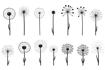 Dandelion Signs Black Thin Line Icon Vector Set isolated on white background. generative ai.