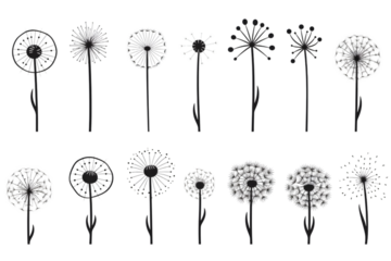 Dandelion Signs Black Thin Line Icon Vector Set isolated on white background. generative ai.