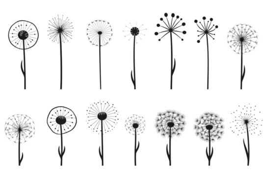 Dandelion Signs Black Thin Line Icon Vector Set isolated on white background. generative ai.