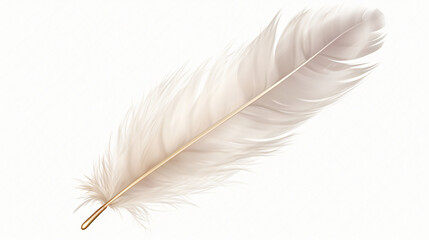 White feather isolated on transparent background