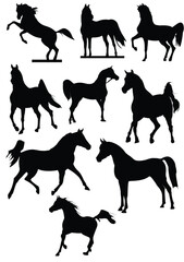 Horse riders silhouettes. Vector Black and White hand drawn illustration