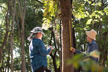 Young asian schoolboy measuring a size of tree trunk with a measuring tape and recording...
