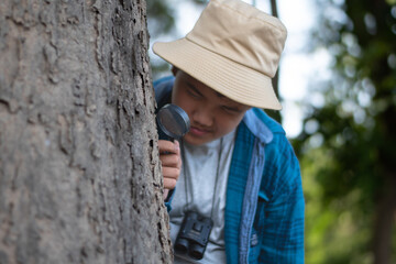 Asian boy using outdoor mini magnifying glass to watch moss pattern which growing on tree trunk...