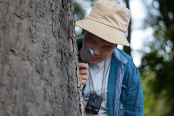 Asian boy using outdoor mini magnifying glass to watch moss pattern which growing on tree trunk...