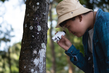 Asian boy using outdoor portable microscope to watch moss pattern which growing on tree trunk...