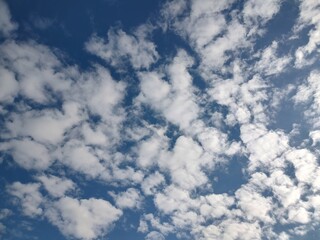 東京のそら(23.12.1)