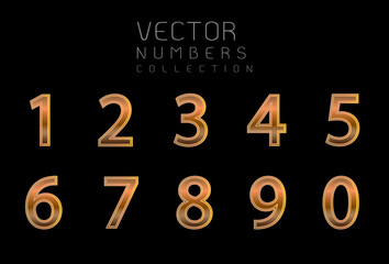 Golden numbers with golden outline. Numbers set vector font alphabet, luxury flat design ; application, creative poster & Party, birthday, celebrate anniversary and wedding. Vector design elements