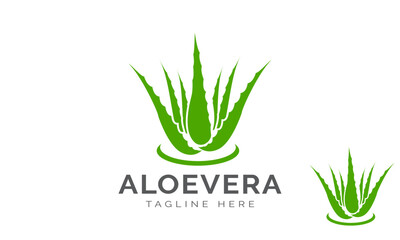 Aloe Vera Plant Logo Design Template. Aloe Vera plant, leaves Logo. Herbaceous plant and drop vector design. Aloe Vera gel logotype. - obrazy, fototapety, plakaty