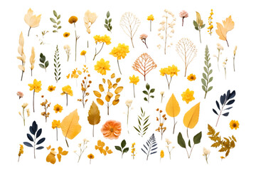 pressed flowers and leaves isolated on white background. generative ai.