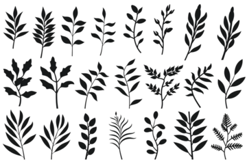 Set of silhouettes of branches and leaves. Hand drawn vector botanical elements. generative ai.