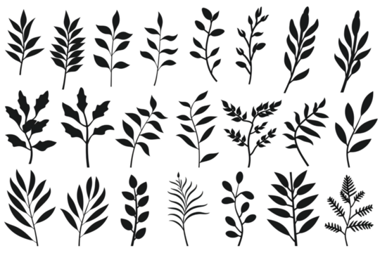 Set of silhouettes of branches and leaves. Hand drawn vector botanical elements. generative ai.