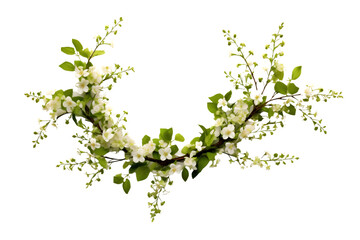 Spring twigs of spirea with small green leaves, flowers and buds in a floral arch arrangement isolated on white background. generative ai. - obrazy, fototapety, plakaty
