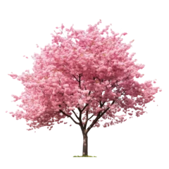 Gardinen Photo of cherry tree isolated © 123dartist