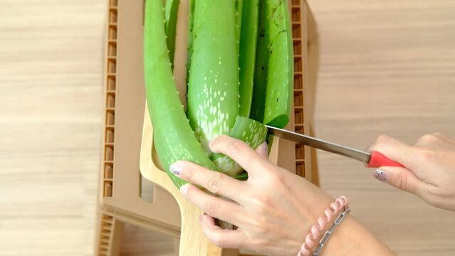 Woman's hand are using a knife to peel aloe vera.